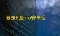 暴走P图pro安卓版